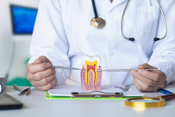Best Same-Day Emergency Dentist in China Grove, NC